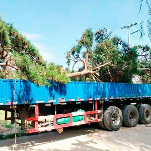 裝車現(xiàn)場(chǎng)